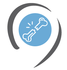icon osteoporose